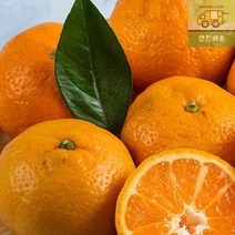 타이벡_청_2.5kg_제주도_조생_영화청과_만들기_귤_노지_특급 64FC, 상세페이지 참조