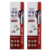 부광탁스 프리미엄 치약150g 칫솔 세트 X 2개, 부광탁스 프리미엄 치약칫솔세트 2개