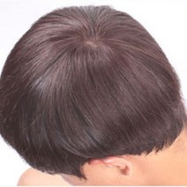 중년남자 원형탈모가발 정수리부분 인모 40대 50대