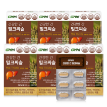 건강한 간 밀크씨슬 6박스(총 6개월분)