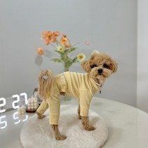 쥬비코 강아지옷 홈런 올인원, 베이지