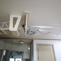 하늘 투명 터널 100cm - 원목 고양이 캣 타워 워커 폴 선반 구름다리 놀이터