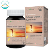 팜그린 프리미엄 버퍼드 비타민C 1000 플러스 3개월분