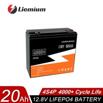 딥 사이클 배터리 팩 12V 6Ah 10Ah 20Ah 50Ah 100Ah lifepo4 충전기 BMS 내장 어린이 스쿠터용 세금 없음, 3.12V 20AH-P