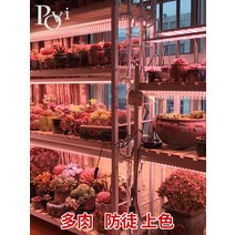 희귀 설치 전구 바형 LED 식물등 집에서할수있는취미 로즈마리키우는법 조명등 생장 스탠드 식물용 식물조명, 풀 스펙트럼 T5 0.3m 익스피리언스