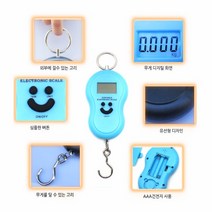 전자저울 휴대용저울 고리무게측정기 낚시 가게 가정, 고리저울(블랙)