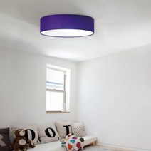 [바보사랑] LED 데일리 방등-B 50W, 색상:블루웨일