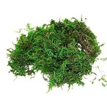 [이끼]청이끼(건조이끼) 700g
