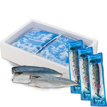 제주담은 제주직송 제주고등어(대)사이즈 200g 내외 10팩, 01.제주고등어2kg, 10개