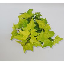 보거스플라워 아이비 10~120cm 식물 모음 수성 공기정화식물 행잉플랜트 식물 스킨답서스, 4. 형광 아이비, 1개