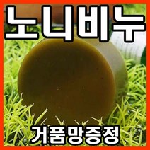 [오후3시 당일발송] YB맘 태양광에서 자연발효시킨 EM 천연 노니비누 100프로 100% 효능 천연비누, 100g, 1구