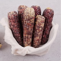 감동 옥과농협 찐 흑찰옥수수 특품 3개입 X 7팩 15cm 내외 (냉동)