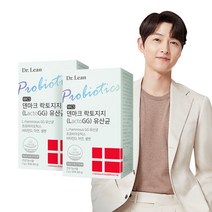[공식] 닥터린 WCS 덴마크 락토지지(LGG) 유산균 (L.rhamnosus GG 유산균/프로바이오틱스/비타민D/아연/셀렌) NOCHESTEM, 2개, 30포