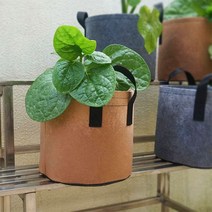 으라차차/부직포 화분 베란다 텃밭 대파 키우기 5갤런 30x25., 3화분5갤런-브라운