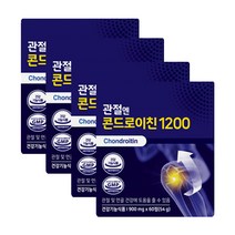 콘드로이친 관절엔 콘드로이친1200, 60정, 4개