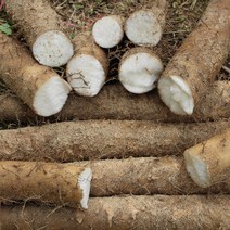 안동마 마사토 햇마 안동장마 장마 2kg 5kg 생마