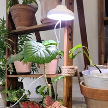 스마토이 LED바 식물등 식물조명 식물성장등 50cm 1/2/3구, LED바 식물 50cm 3구