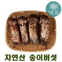 진심좋은 자연산 냉동 송이 버섯 자연 송이버섯, 1box, ML 500g