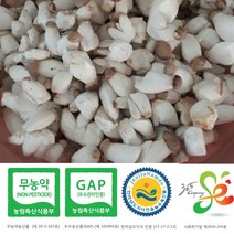 새송이는마니꺼 새송이버섯, 1box, 1kg조림(미니)