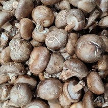 생표고버섯(상)1kg / 자연대로팜웨이, 생표고(상)1kg