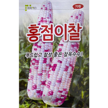 홍점이찰옥수수씨앗70립, 1개