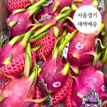 한정판매 새벽배송 당일배송 베트남 용과 1.2kg 5kg 프리미엄 초고당도 과일 수입과일, (특1등급)백 용과 5kg (10수이내)