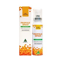 굿데이 프로폴리스 마누카허니 스프레이 30ml, 1개