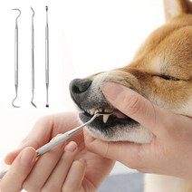 강아지 치석제거 입냄새 이빨 스케일링 제거기 고양이 강아지치석제거기 3종세트 고양이스케일링 스케일러 강아지셀프스케일링, (선택_상품선택_)