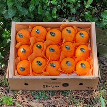 [제주산지직송] 제철과일 카라향 2.5kg(15-22수 고급이중포장선물) 봄을 깨우는 싱그러운 과즙이 팡팡!!, 카라향 3kg(15-22수 고급이중포장선물용)