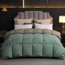 95% 거위털 이불 겨울 보온 이불솜, 그린+그레이, 8근