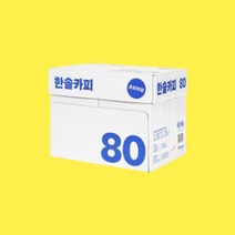 한솔카피 제지 에이포 복사용지 두꺼운 사무실 A4용지 80g 5000매, 한솔제지 A4용지 80g 5000매
