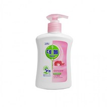 데톨 항균 핸드워시 스킨케어 250ml 용기[소무나], 상세페이지 참조