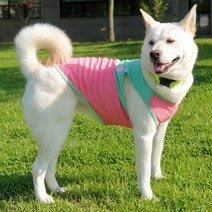 반려견 투톤쿨나시티 중형견 대형견 민소매 여름옷 리트리버 실내복 진돗개 웰시코기 시바견, 핑크