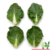 사라상회 쌈추 2Kg