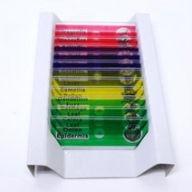 식물 동물 현미경관찰 혼합 프레파라트 12P 받침유리 상피세포 과학수업