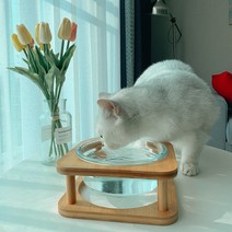 강아지 고양이 수반 음수대 밥그릇 물그릇 정수기 강화 유리 식기 식탁, 유리그릇소(원목X)