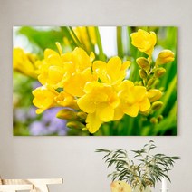 예쁜 힐링 풍수 인테리어 장미 데이지 튤립 꽃그림 모음 북유럽감성 식물액자, 16.프리지아 꽃다발