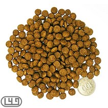 셔틀랜드쉽독 애견주식 전연령 치킨 사모예드 휘핏 싼