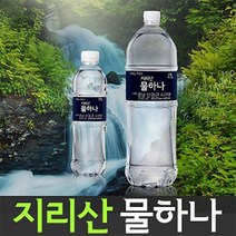 (국제)지리산 물하나 500ml x 40병