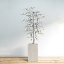 플라워바인 대형 아랄리아 아라리아 빈티지그레이 사각화분 플랜테리어, 필요없음, 바퀴형+8천원