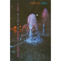 Like Bismuth When I Enter Paperback, Nightboat Books, English, 9781643620190