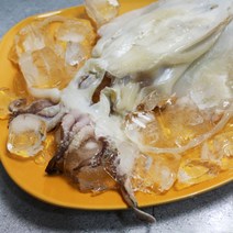[바다의행복] 국내산 반건조 갑오징어 (대) 1팩, 단품
