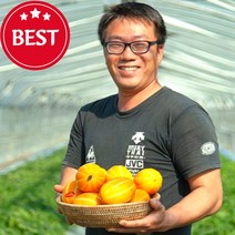 23년 첫출하 마이달데이 성주참외 하우스참외 못난이참외 가정용 선물용 2kg 3kg 5kg, 가정용 대과 3kg