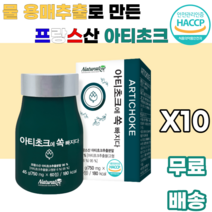 아티초크 추출분말 ARTICHOKE 프랑스산 유기농 물용매추출 귀족채소 진공농축 저온살균 스프레이건조 남녀노소 누구나 먹기편한 여성 여자 학생 대학생 여대생 부모님 꽃봉우리, 10박스, 60정