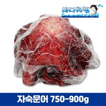 자숙문어 750/900g 필리핀 제수용 문어숙회 삶은문어