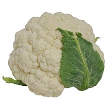그린팜 생 콜리플라워 약 500g, 단품