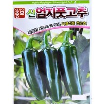 신엄지풋고추종자 100립 곤드레고려엉겅퀴 100립 씨앗