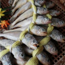 영광 법성포 부세 조기 보리 굴비 가정용 정자각 청담한정식, 20미1.8kg