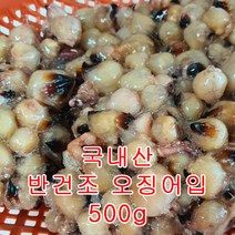 국내산 반건조 오징어입 500g(조미X), 1개