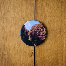 [손끝에서] 제주 놀멍쉬멍 손거울/제주동백